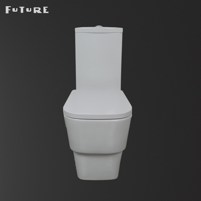 Dual Flush 3L 6L Wash Down Type Water Closet Floor Mounted Wc Kamar Mandi Sanitary