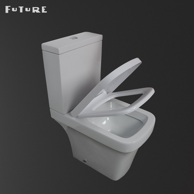 Floor Mounted Rimless Toilet Pan Gravity Flushing Dengan Penutup Kursi Penutup Lembut
