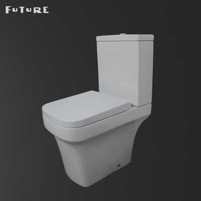 Floor Mounted Rimless Toilet Pan Gravity Flushing Dengan Penutup Kursi Penutup Lembut