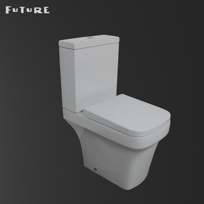 Floor Mounted Rimless Toilet Pan Gravity Flushing Dengan Penutup Kursi Penutup Lembut
