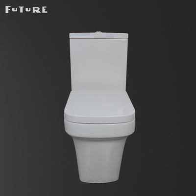 Floor Mounted Rimless Toilet Pan Gravity Flushing Dengan Penutup Kursi Penutup Lembut
