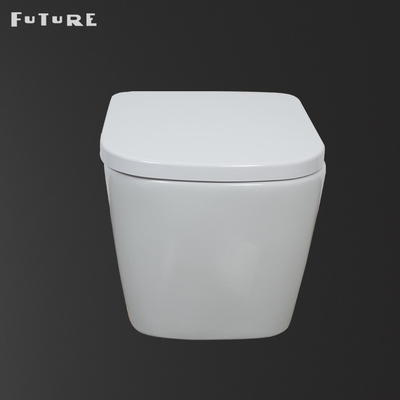 High Density Smart Commode Kembali Ke Dinding Washdown Toilet Mengkilap Halus