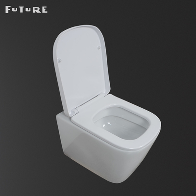 High Density Smart Commode Kembali Ke Dinding Washdown Toilet Mengkilap Halus