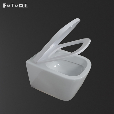High Density Smart Commode Kembali Ke Dinding Washdown Toilet Mengkilap Halus