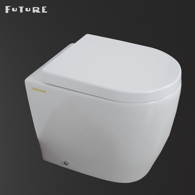 ISO9001 One Piece Smart Toilet Standar Ideal Btw Wc Pan 610*357*400MM