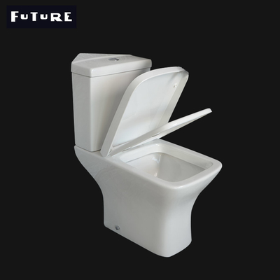 Washdown Flushing Sudut Ruang Standar Ideal Toilet Sudut Toilet