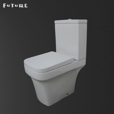 P Trap Bisu Pembilasan Tutup Ditambah Kamar Mandi Toilet Lantai Terpasang wc ISO9001