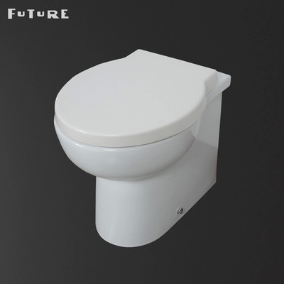 Kamar Mandi Hemat Ruang Toilet Dinding Dengan Tombol Penyiram Ganda 3L/6L