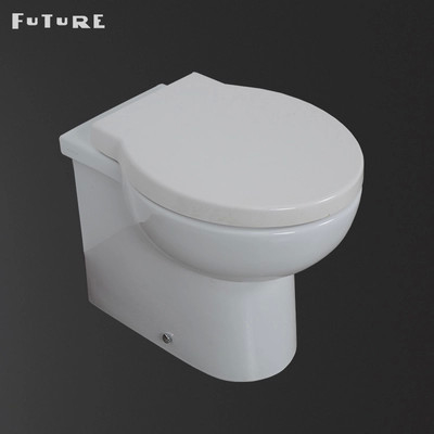 Kamar Mandi Hemat Ruang Toilet Dinding Dengan Tombol Penyiram Ganda 3L/6L