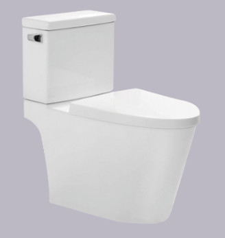 Pengoperasian Otomatis 2 Bagian Toilet Dengan Desain Hemat Air S Trap